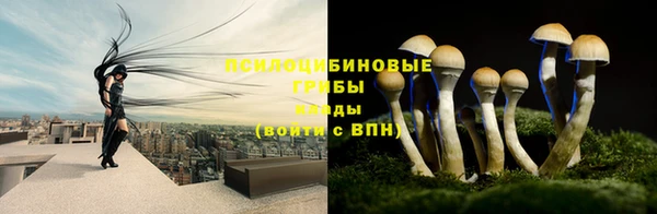 прущие крисы Бронницы