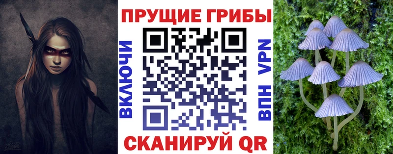 Псилоцибиновые грибы Cubensis  Лянтор 